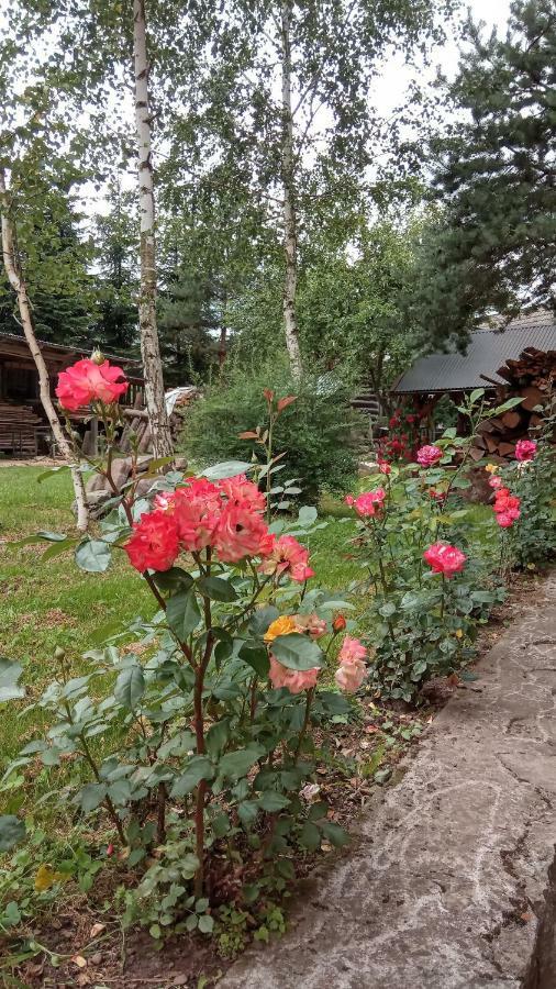 Pokoje U Adama Grajoka Szczawnica Exterior photo